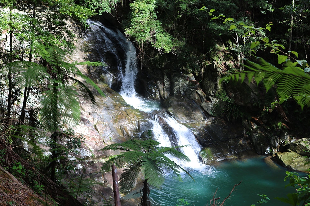 Cougal Cascades, Coolangatta, Queensland Cougal Cascades, Coolangatta, Queensland