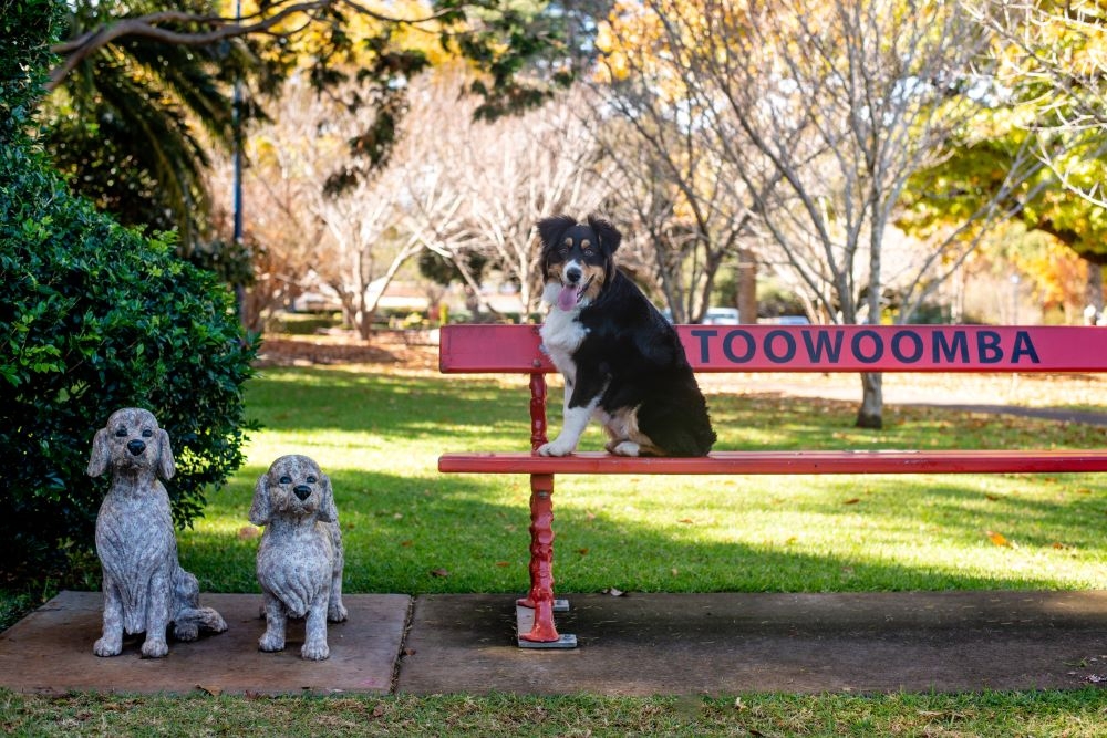 Toowoomba Carnival of Flowers 2020 Toowoomba Carnival of Flowers 2020