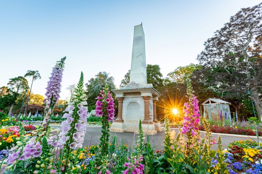 Toowoomba Carnival of Flowers 2020 Toowoomba Carnival of Flowers 2020