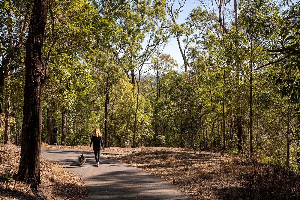 Keperra Bushland Reserve Keperra Bushland Reserve